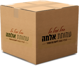Box 4 1