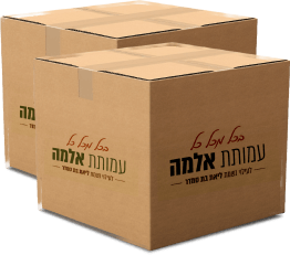 Box 4 12